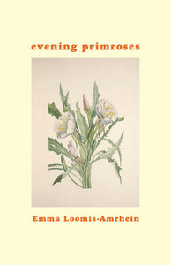 evening primroses | Emma Loomis-Amrhein