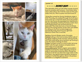Incredible Cats of Glen Echo, Vol. 1 | Ashley Hope Pérez