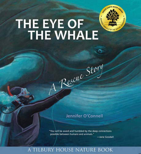 The Eye of the Whale | Jennifer O'Connell