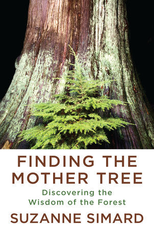 Finding the Mother Tree | Suzanne Simard