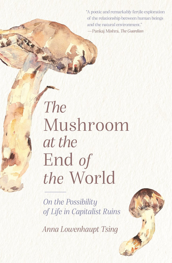 The Mushroom at the End of the World: On the Possibility of Life in Capitalist Ruins | Anna Lowenhaupt Tsing