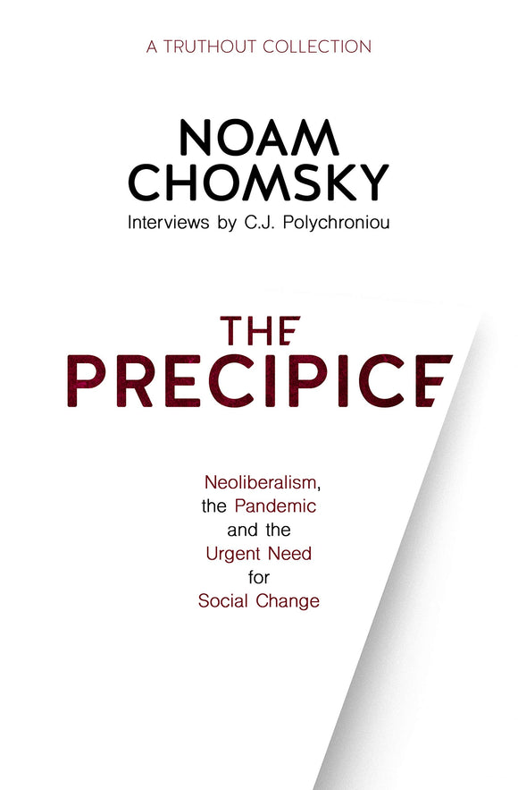 The Precipice | Noam Chomsky