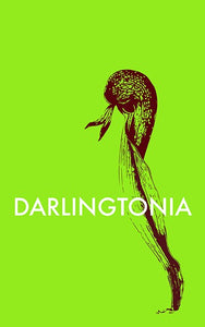 Darlingtonia | Alba Roja