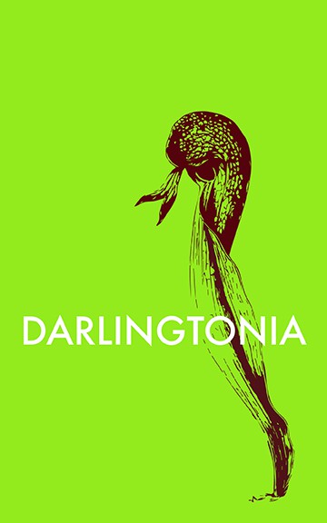 Darlingtonia | Alba Roja