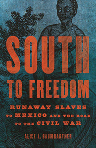 South to Freedom | Alice L. Baumgartner