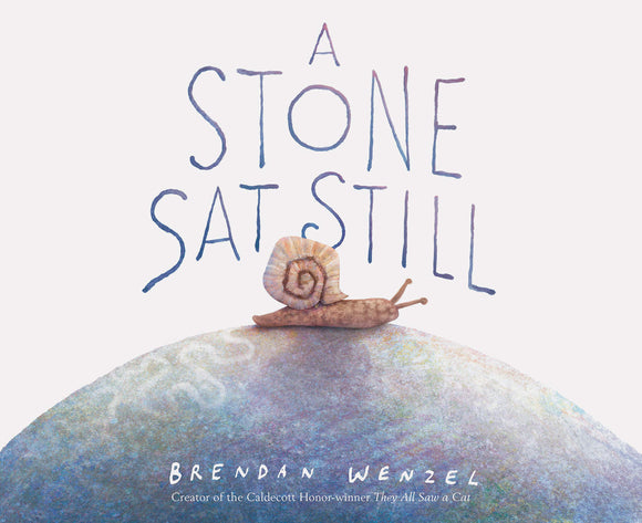 A Stone Sat Still | Brendan Wenzel