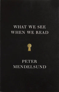 What We See When We Read | Peter Mendelsund